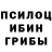 Псилоцибиновые грибы мицелий Tolya Derevianko