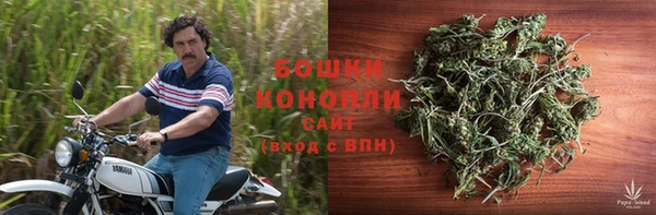 прущие грибы Ростов