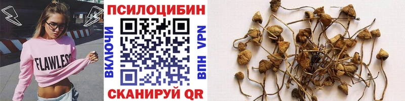 Псилоцибиновые грибы мухоморы  Купить закладки  Порхов 